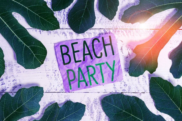 Texto de escritura de palabras Beach Party. Concepto de negocio para un festival pequeño o grande que se celebra en las orillas del mar y que suele llevar bikini . — Foto de Stock