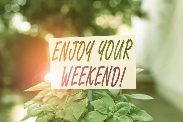 Handwriting text writing Enjoy Your Weekend. Concept meaning wishing someone that something nice will happen at holiday Plain empty paper attached to a stick and placed in the green leafy plants. — Stock Photo, Image