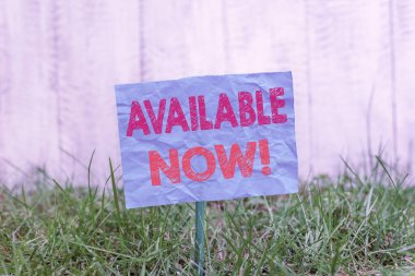 Şimdi kullanılabilir olduğunu gösteren metin işareti. Kavramsal fotoğrafı şu anda elde edilebilir ya da kullanılabilir bulabilirsiniz. Boş kağıt bir çubuğa bağlanmış ve yeşil çimenli araziye yerleştirilmiş..