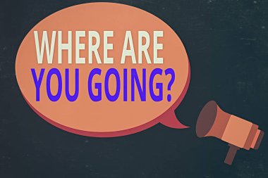 Nereye gittiğini gösteren kavramsal el yazısı. İş fotoğraflarında birilerine Megafon 'a giden yolun duyuru ve konuşmayla ilgili olduğunu sorarlardı..