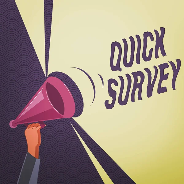 Scrittura concettuale a mano che mostra Quick Survey. Business photo text il metodo di ricerca utilizzato per la raccolta di dati per ottenere approfondimenti o idee di business Analisi Hu Holding Megafono con Volume Sound Pitch — Foto Stock