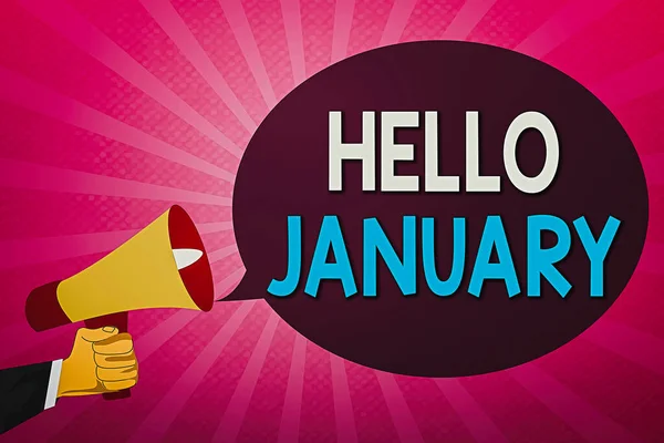 Írócetli a Hello January-ről. Business photo showcasing greeting az év első hónapjának köszöntésekor Hu analysis Hand Holding Megaphone and Oval Speech Bubble. — Stock Fotó