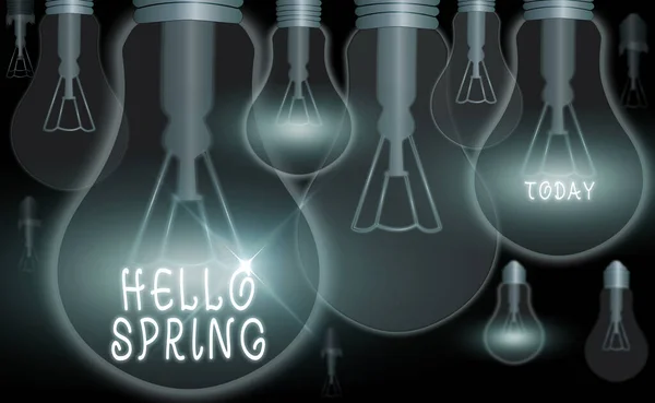 Znak tekstowy "Hello Spring". Pozdrowienia dla świeżych roślin i kwitnących kwiatów sezon. — Zdjęcie stockowe