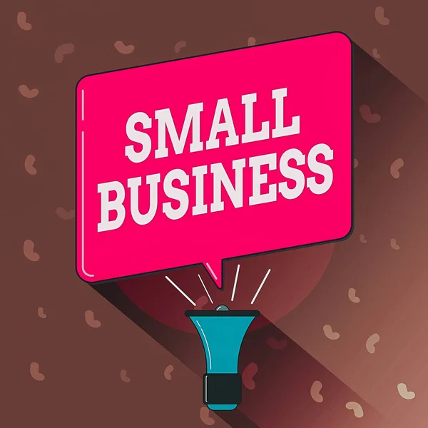 中小企業を示す概念的な手書き。ビジネス写真テキストその限られたサイズのメガホンルーダーハンドヘルドアンプとブランクスピーチバブルで知られている個人所有のビジネス. — ストック写真
