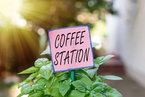 Writing note showing Coffee Station. Business photo showcasing a small, informal restaurant that typically serves hot drinks Plain paper attached to stick and placed in the grassy land.