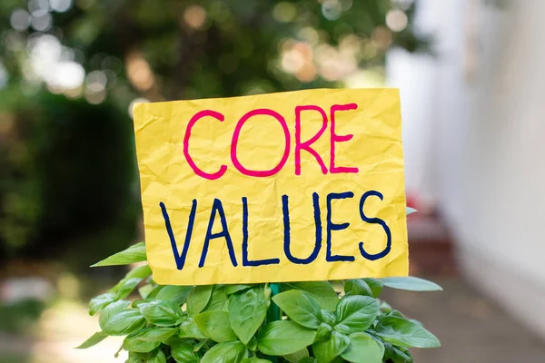 Word writing text Core Values. Business concept for principles which guide and determine what is wrong and right Plain empty paper attached to a stick and placed in the green leafy plants.