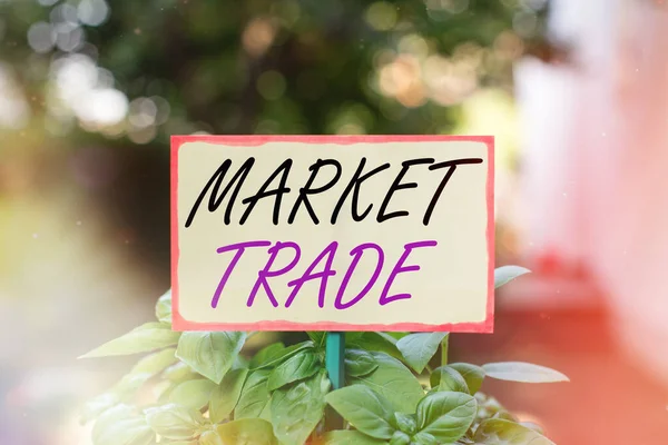 Text sign showing Market Trade. Conceptual photo forex trading graph of financial investment or Economic trends business Plain empty paper attached to a stick and placed in the green leafy plants.