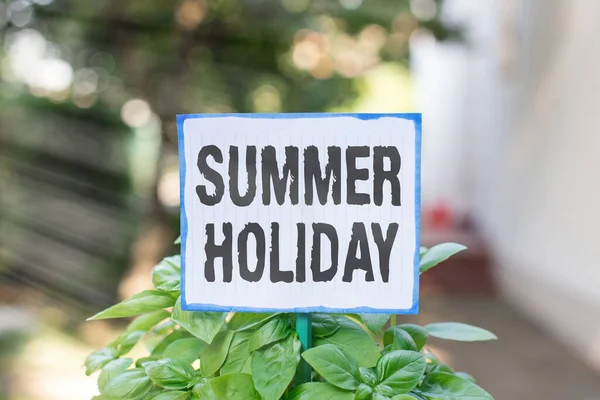 Schreibnotiz mit Sommerurlaub. Business-Foto präsentiert spezielle Zeit im Sommer für Entspannung und Spaß Einfaches Papier am Stick befestigt und im Grasland platziert. — Stockfoto