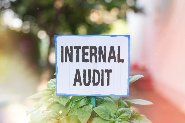 Writing note showing Internal Audit. Business photo showcasing evaluates the objective assurance to improve a firm s is operation Plain paper attached to stick and placed in the grassy land. — Stock Photo, Image