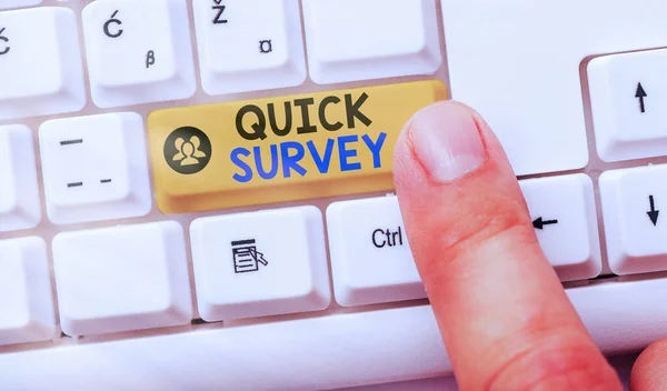 Schreiben Notiz zeigt Quick Survey. Business-Foto, das die Forschungsmethode zur Erhebung von Daten zur Gewinnung von Erkenntnissen oder Geschäftsidee zeigt. — Stockfoto
