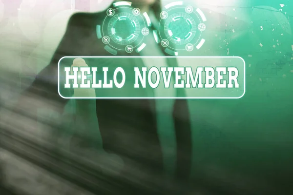 Konzeptionelle Handschrift, die Hallo November zeigt. Geschäftsfoto mit Grußworten zur Begrüßung des elften Monats des Jahres. — Stockfoto