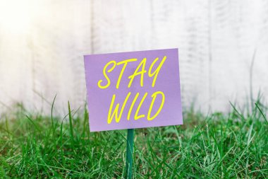 Vahşi Kalın 'ı gösteren bir not yazıyorum. İş fotoğraflarının sergilenmesi tüm gün boyunca son derece enerjik bir şekilde son buluyor. Çimenli topraklara yapıştırılmış ve yerleştirilmiş sade kağıt..