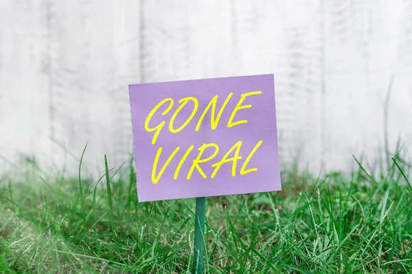 Writing note showing Gone Viral. Business photo showcasing social media marketing content trending around the world Plain paper attached to stick and placed in the grassy land.