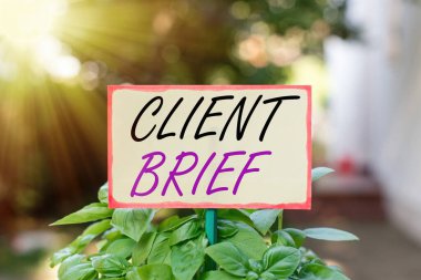 Müşteri Özeti 'ni gösteren metin işareti. İş ayrıntılarını içeren müşteriler tarafından verilen kavramsal fotoğraf bir çubuğa sade boş kağıt iliştirilmiş ve yeşil yapraklı bitkilere yerleştirilmiş.