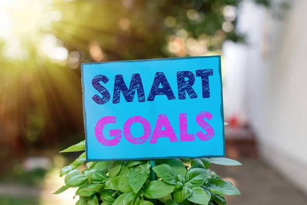 Textskylt med Smart Goals. Konceptuell foto mnemonic används som grund för att fastställa mål och riktning Plain tomt papper fäst vid en pinne och placeras i gröna bladväxter. — Stockfoto
