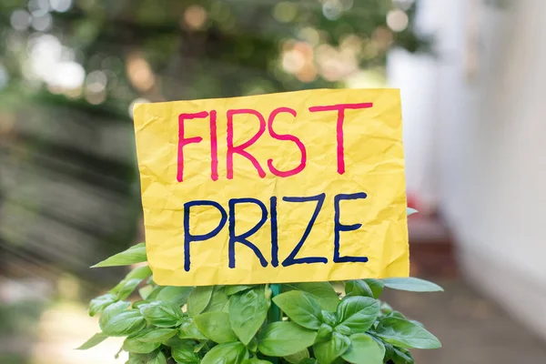 Word writing text First Prize. Business concept for most coveted prize that is only offered to the overall winner Plain empty paper attached to a stick and placed in the green leafy plants.