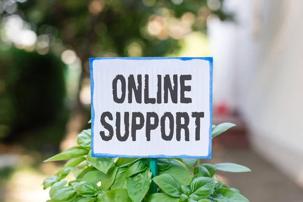 Writing note showing Online Support. Business photo showcasing range of services which helps in solving the buyer s is problem Plain paper attached to stick and placed in the grassy land.