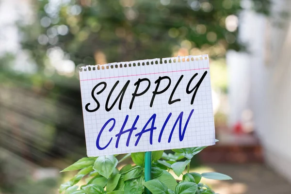 Text sign showing Supply Chain. Conceptual photo Aspects of smart modern company management logistics processes Plain empty paper attached to a stick and placed in the green leafy plants.