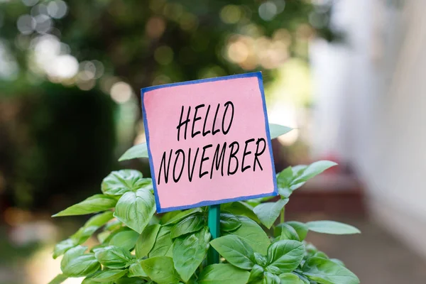 Writing note showing Hello November. Business photo showcasing greeting used when welcoming the eleventh month of the year Plain paper attached to stick and placed in the grassy land. — Stock Photo, Image