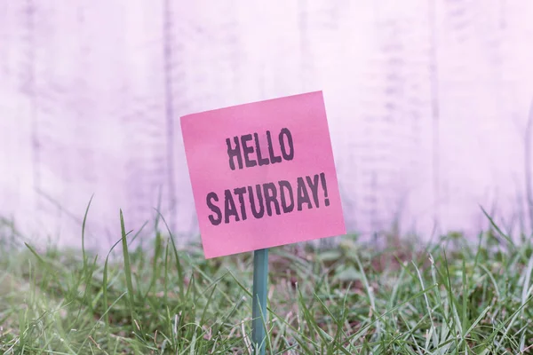 Schrijfbriefje met Hallo Zaterdag. Zakelijke foto toont een positieve boodschap uitgedrukt tijdens het begin van het weekend Plain papier bevestigd aan stok en geplaatst in het grasland. — Stockfoto