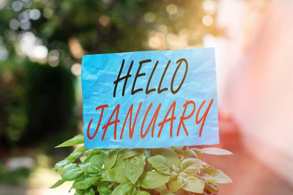 Escritura a mano conceptual que muestra Hello January. Saludo del texto de la foto del negocio utilizado al dar la bienvenida al primer mes del año Papel liso adjunto al palo y colocado en la tierra herbosa . —  Fotos de Stock