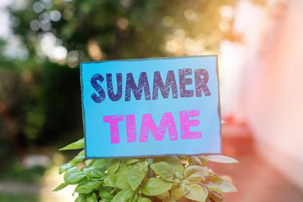 Signo de texto que muestra la hora de verano. Foto conceptual la estación más caliente del año caracterizada por noches cortas Papel vacío liso pegado a un palo y colocado en las plantas de hoja verde . —  Fotos de Stock