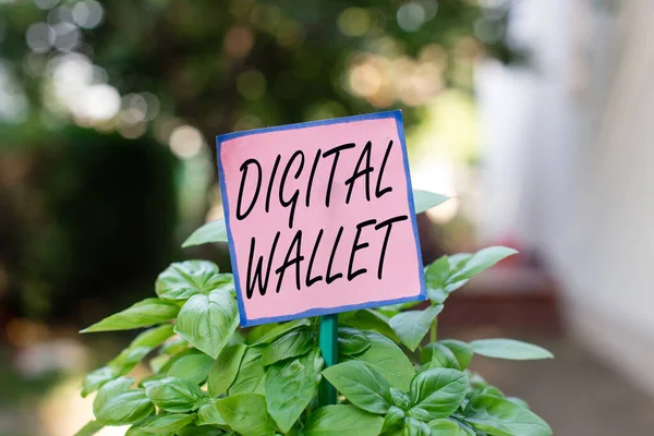 Writing note showing Digital Wallet. Business photo showcasing a financial account that allows creating an online transaction Plain paper attached to stick and placed in the grassy land.