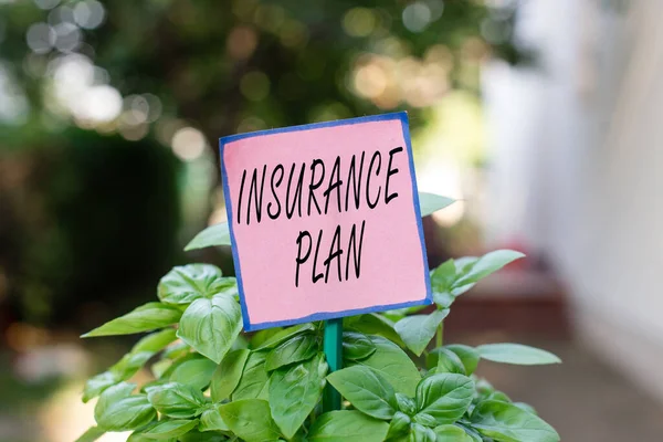 Writing note showing Insurance Plan. Business photo showcasing includes the risk management that a worker is covered Plain paper attached to stick and placed in the grassy land.