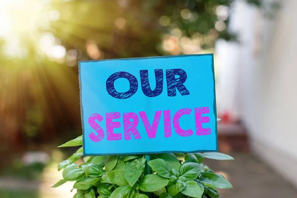 Text sign showing Our Service. Conceptual photo providing assistance to the public with a specific set of skills Plain empty paper attached to a stick and placed in the green leafy plants.