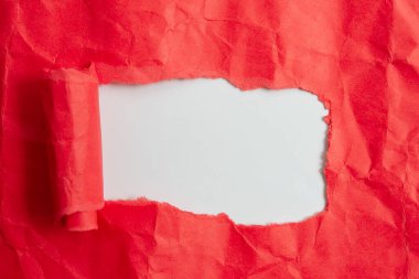 Yuvarlanmış Yırtık Karton Yerleştirilmiş Üst Masa. Arkaplanda kalın yırtık bir kağıt var. Flat Lays Fotoğrafçılığı Düzenleme Sanatsal Yolu
