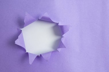 Yuvarlanmış Yırtık Karton Yerleştirilmiş Üst Masa. Arkaplanda kalın yırtık bir kağıt var. Flat Lays Fotoğrafçılığı Düzenleme Sanatsal Yolu