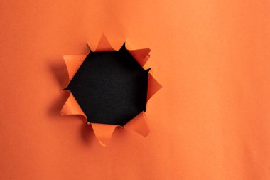 Yuvarlanmış Yırtık Karton Yerleştirilmiş Üst Masa. Arkaplanda kalın yırtık bir kağıt var. Flat Lays Fotoğrafçılığı Düzenleme Sanatsal Yolu