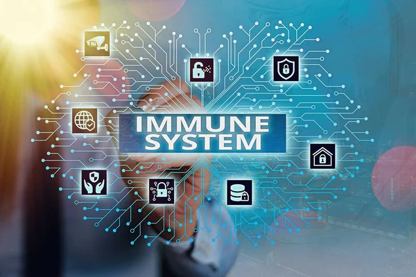 Ordskrivning text Immunsystemet. Affärsidé för komplexa nätverk arbeta tillsammans för att försvara mot bakterier Systemadministratör kontroll, redskap konfiguration inställningar verktyg koncept. — Stockfoto