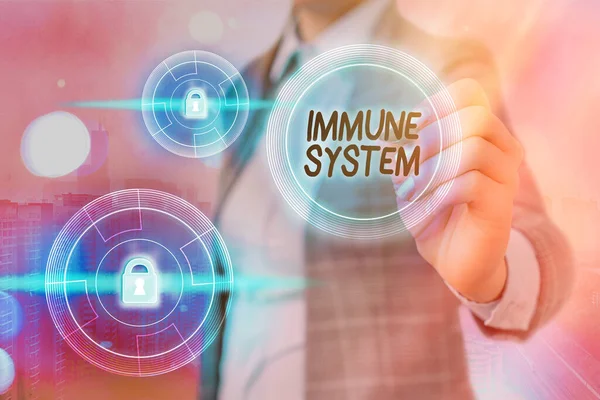 Text sign showing Immune System. Conceptual photo Complex network work together to defend against germs Graphics padlock for web data information security application system.