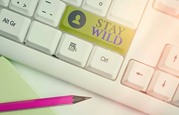 Word writing text Stay Wild. Geschäftskonzept für den ganzen Tag extrem energiegeladen. — Stockfoto