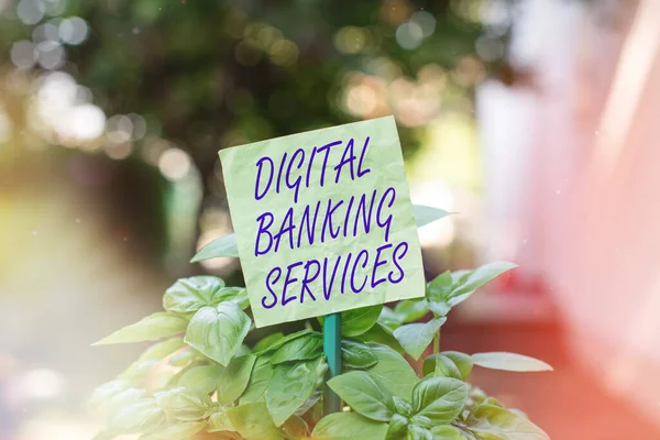 Text sign showing Digital Banking Services. Conceptual photo Business, technology, internet and networking Plain empty paper attached to a stick and placed in the green leafy plants.