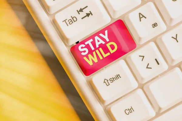 Konzeptionelle Handschrift, die Stay Wild zeigt. Businessfotos, die den ganzen Tag über zu sehen sind, sind extrem energiegeladen. — Stockfoto