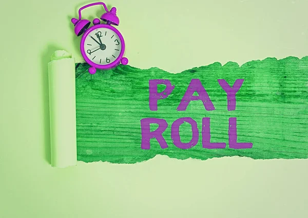 Parola di scrittura del testo Pay Roll. Concetto aziendale per il trattamento fiscale e contabile per il calcolo del pagamento degli stipendi . — Foto Stock