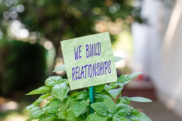 Text sign showing We Build Relationships. Conceptual photo Developing business growth success process and teamwork Plain empty paper attached to a stick and placed in the green leafy plants.