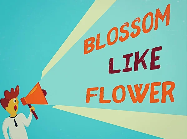 Konceptualny rękopis ukazujący kwiat kwiatu. Biznes zdjęcie tekst osoba z dobrymi cechami, które promieniuje miłość, szczęście i piękno Man Talking Holding Megafon rozszerzony głośność Pitch — Zdjęcie stockowe