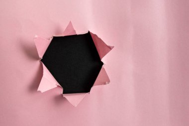 Yuvarlanmış Yırtık Karton Yerleştirilmiş Üst Masa. Arkaplanda kalın yırtık bir kağıt var. Flat Lays Fotoğrafçılığı Düzenleme Sanatsal Yolu