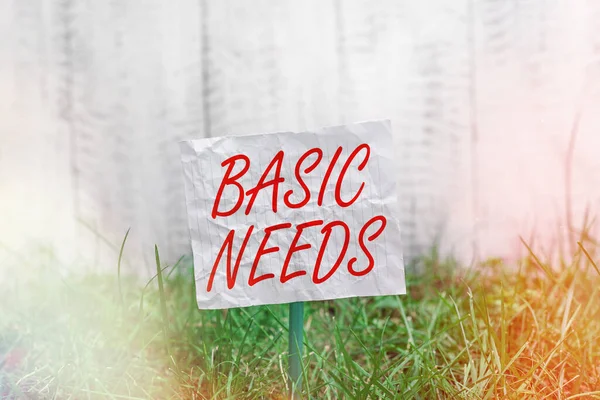 Conceptual hand writing showing Basic Needs. Business photo showcasing necessary to sustain life like food, water, shelter, and clothing Plain paper attached to stick and placed in the grassy land.