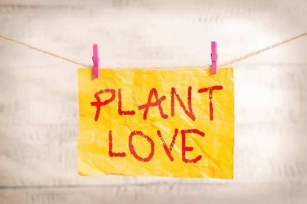 Szóírás szöveg Plant Love. Üzleti koncepció az érzelmi szeretet, gondozás és támogatás szimbólumára megmutatta másoknak Ruhaszárító téglalap alakú papír emlékeztető fehér fa íróasztal. — Stock Fotó