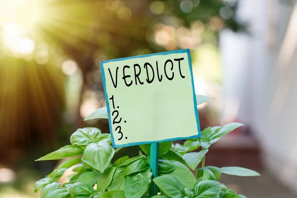 Conceptual hand writing showing Verdict. Business photo text decision on disputed issue in a civil or criminal case or inquest Plain paper attached to stick and placed in the grassy land.