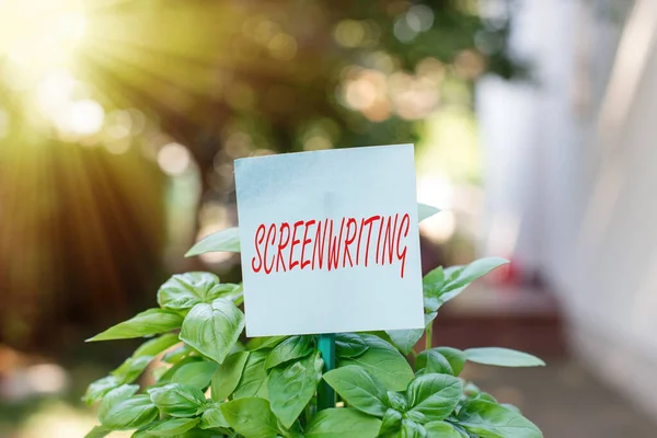 Writing note showing Screenwriting. Business photo showcasing the art and craft of writing scripts for media communication Plain paper attached to stick and placed in the grassy land.