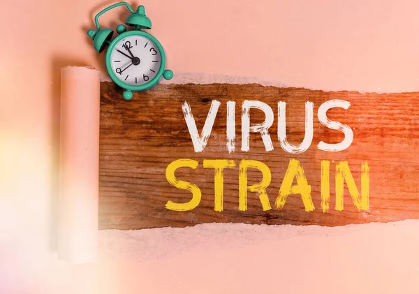 Mesaj işareti Virüs Strain 'i gösteriyor. Kavramsal fotoğraf. Orijinal mikroorganizmadan türetilmiş başka bir genetik varyant. Yırtılmış karton.. — Stok fotoğraf