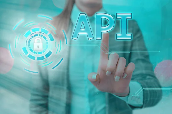 Texto para escribir palabras Api. Concepto de negocio para el conjunto de rutinas, protocolos y herramientas para la construcción de aplicaciones de software Candado gráfico para el sistema de aplicaciones de seguridad de información de datos web . — Foto de Stock