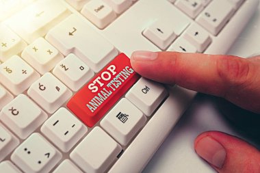 Kelime yazma: Hayvan Testini Durdur. Hayvan deneylerine ya da araştırmaya son vermek için kullanılan iş konsepti beyaz tuş alanının üzerindeki boş not kağıdıyla birlikte beyaz pc klavye.