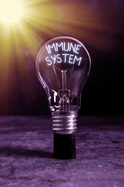 Text sign showing Immune System. Conceptual photo Complex network work together to defend against germs Realistic colored vintage light bulbs, idea sign solution thinking concept.