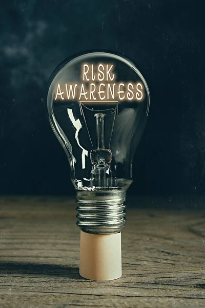 Word writing text Risk Awareness. Business concept for recognizing factors that may cause a lifethreatening effect Realistic colored vintage light bulbs, idea sign solution thinking concept.